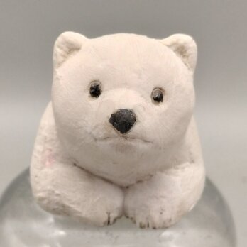 200gAs  白こぐま