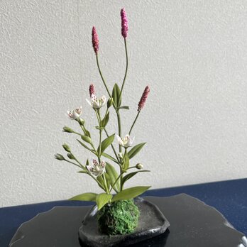 粘土の花　タデ とアケボノソウ