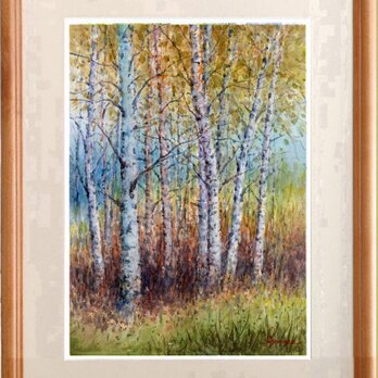 水彩画原画　白樺林５　＃698