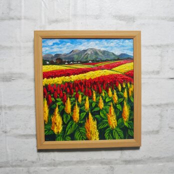 油絵【秋日和のケイトウ】