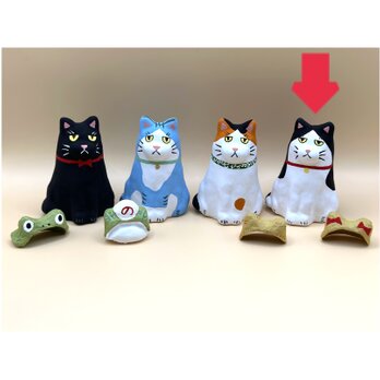 ねこのきもち（黒ハチワレ）