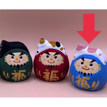 達磨界の頂点　だるま露草色×紅梅猫