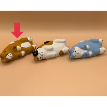 お昼寝の達猫（茶）