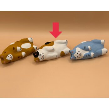 お昼寝の達猫（三毛猫）