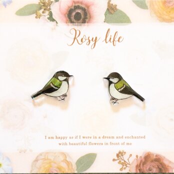 ～小さなピアスシリーズ～シジュウカラのピアス/ノンホールピアス(樹脂イヤリング)