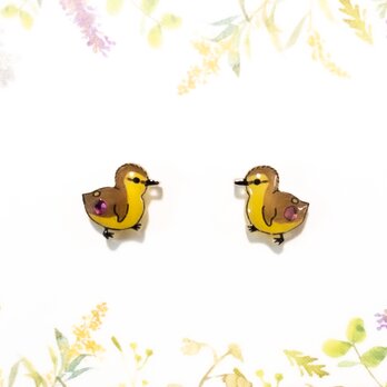 ～小さなピアスシリーズ～子カルガモのピアス/ノンホールピアス(樹脂イヤリング)