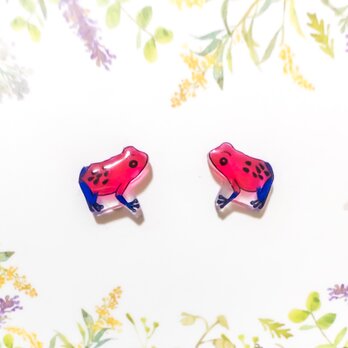 ～小さなピアスシリーズ～イチゴヤドクガエルのピアス/ノンホールピアス(樹脂イヤリング)