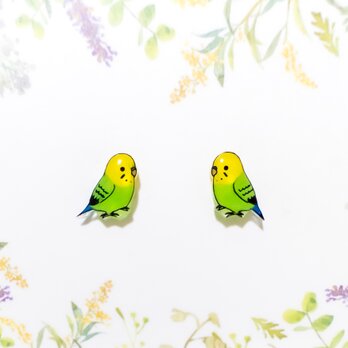 ～小さなピアスシリーズ～セキセイインコ(C)ピアス/ノンホールピアス(樹脂イヤリング)