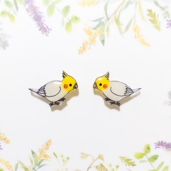 ～小さなピアスシリーズ～オカメインコ(C)ピアス/ノンホールピアス(樹脂イヤリング)