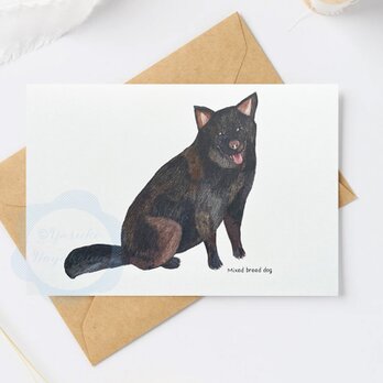 （62）ミックス犬シリーズc　ポストカード　3枚セット