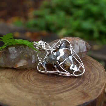 セリコパラサイト　宇宙の霊的エネルギー、ひらめきや直感