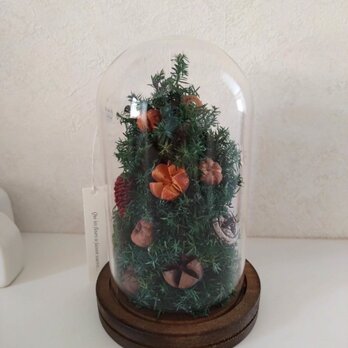 ガラスドームツリー