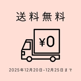 メリークリスマス！【12月20日~25日まで送料無料】
