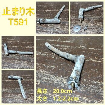 止まり木（枝：TOY-08-015) T591