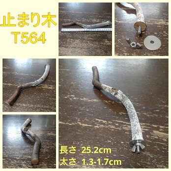 止まり木（枝：TOY-08-015）T564