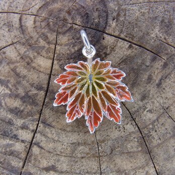 ハウチワカエデ紅葉　ペンダント　SV925/レジン