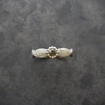 Botanical design Sapphire Ring　/　SV925、サファイア