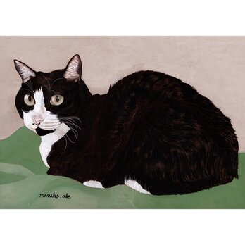 「ウメ14」猫イラスト（原画）