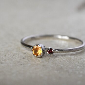 トキメキ～スペサルタイトガーネット・ガーネット～