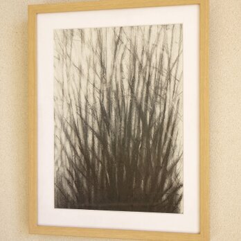 ant'sview2 （額縁付き） 立ちはだかる草むら