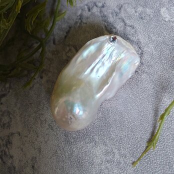 　金魚バロック【ヒレ真珠】