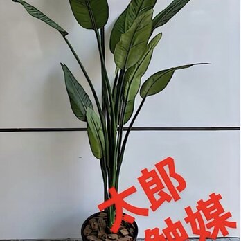 光触媒　人工観葉植物　フェイクグリーン　オーガスタ　ストレッチア160@m