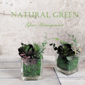 ジオラマ風ちょこっとグリーン　小さな多肉植物グリーンに癒されます