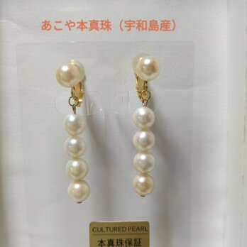 日本産あこや本真珠（宇和島産）のネジバネ式イヤリング