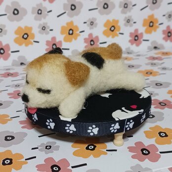 羊毛フェルト 猫ちゃん丸ベットに寝そべるプチわんちゃん