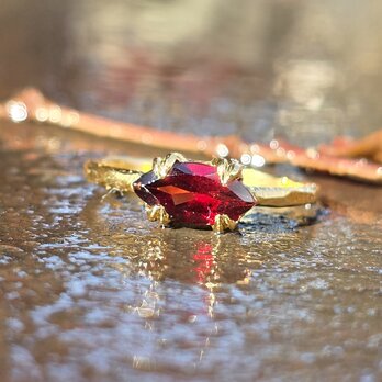 ガーネット　マーキスカット5×10　beast　シルバーSV925リング