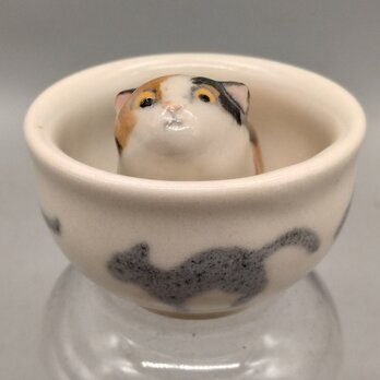 ぐいねこ　みけ1