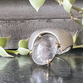 TresureChest プラチナルチル　TRO-01S