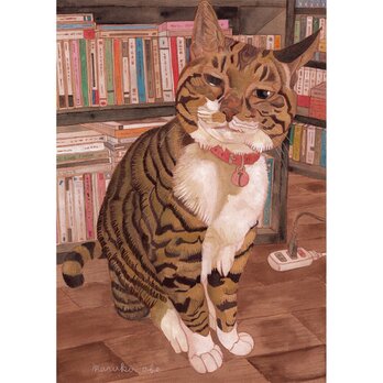 「書斎の猫」額縁入り（複製画）