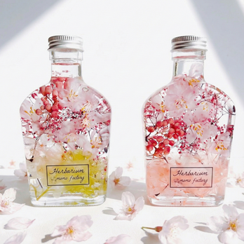 【2本セット】春を告げる桜のハーバリウム　spring  フラワーギフトのコピー