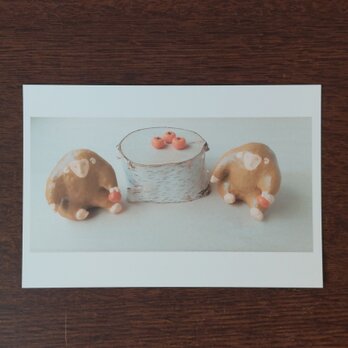 ポストカード(サル)