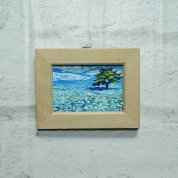 油絵  ミニ絵画【ネモフィラの丘】