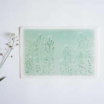 和紙の絵葉書『なずなと三日月』