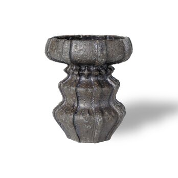 雷花・Raika / 残雪（鉢・プランター）