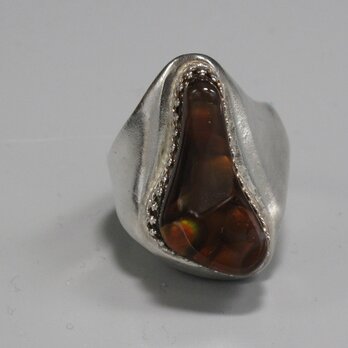 縞ではなく島のよう。