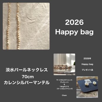福袋 Happy bag D 2026  【ブレスレット＆ピアスプレゼント】