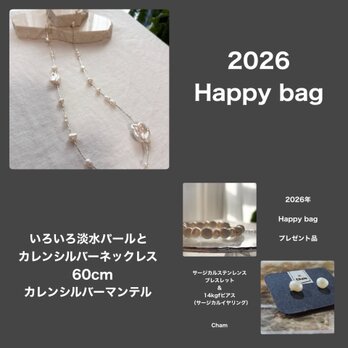 福袋　Happy bag B  2026  【ブレスレット＆ピアスプレゼント】