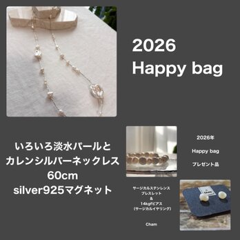 福袋　Happy bag B  2026  【ブレスレット＆ピアスプレゼント】