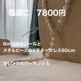 Happy bag  C  2026  【ブレスレット＆ピアスプレゼント】