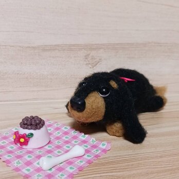 羊毛フェルト上目遣いのダックス　餌皿・ホネセット