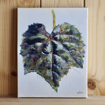 山ぶどう（原画）[original drawing]