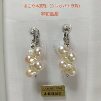 宇和島産あこや本真珠（クレオパトラ珠）のネジバネ式イヤリング