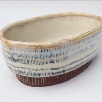 楕円鉢　もじゃもじゃ