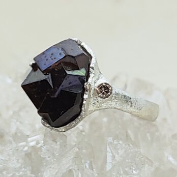 鉱物の表情＊rainbow garnet 925 ring
