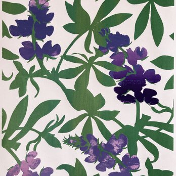 シルクスクリーン版画　ルピナス