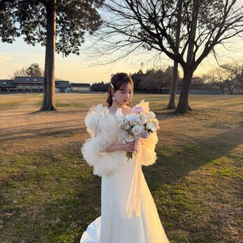 実例写真！ウェディングドレス トップス+キャミソール パール アイボリー 優雅なシルエット 前撮り